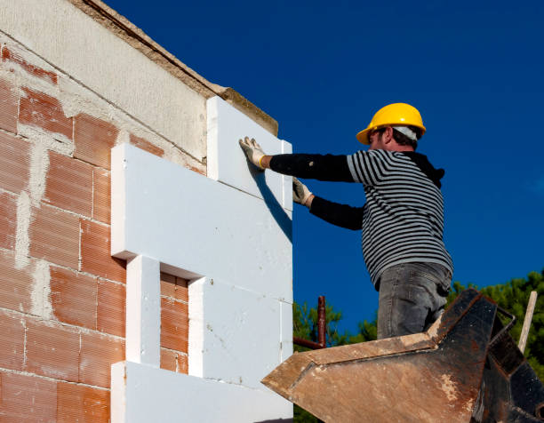 Best Eco-Friendly Insulation in Van Meter, IA
