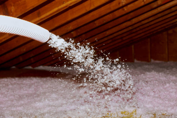 Best Specialized Insulation Services in Van Meter, IA