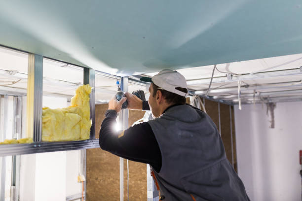 Best Spray Foam Insulation in Van Meter, IA