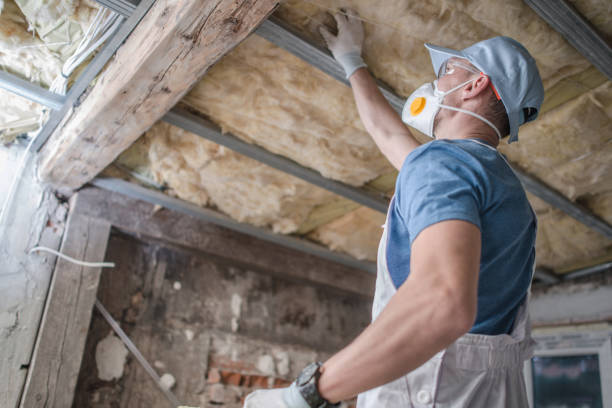 Best Blown-in Insulation in Van Meter, IA
