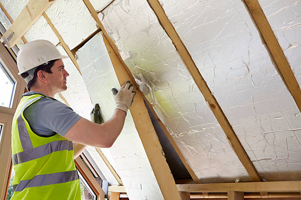 Best Insulation Maintenance and Repair in Van Meter, IA