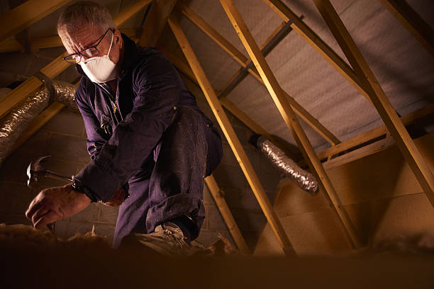 Best Energy Efficiency Insulation in Van Meter, IA
